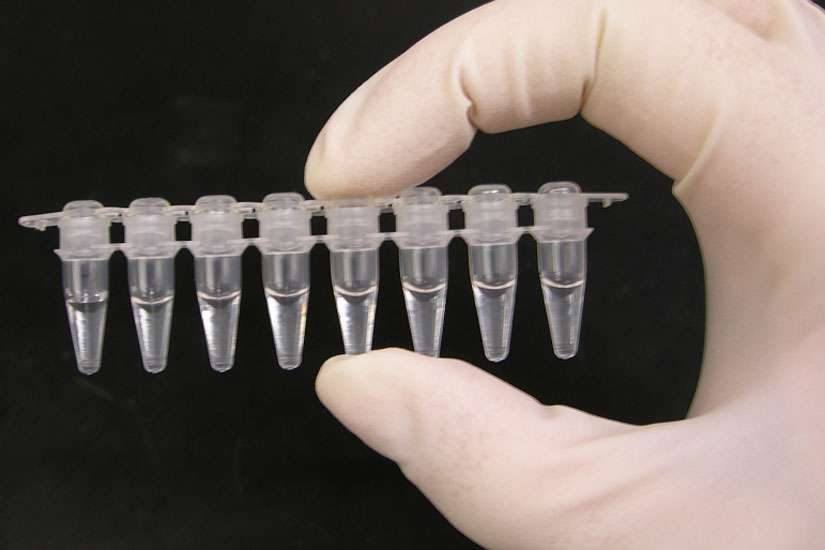 Polish bishops condemn IVF law, warn Catholics to not use process