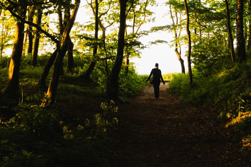 God's Word on Sunday: Jesus blazed a trail for all to follow