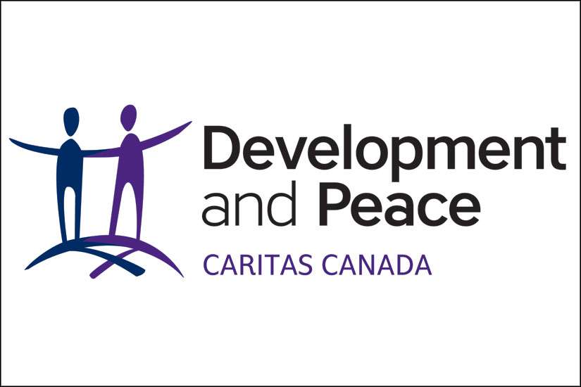 D&P shows off new logo