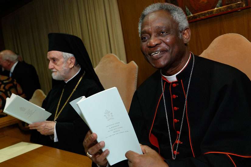 From border to academia, enthusiasm for papal encyclical runs high