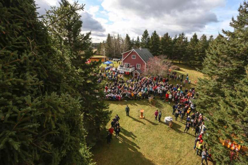 Tree for Boston an annual thank-you for Nova Scotians