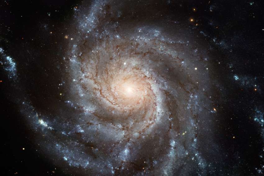 Strive to live with love’s dark energy