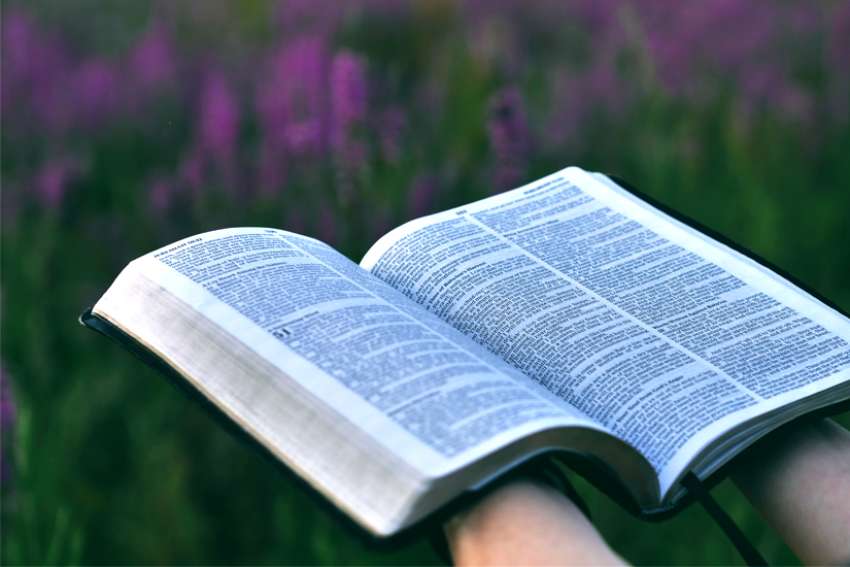 God's Word on Sunday: Loving God and neighbour are inseparable principles