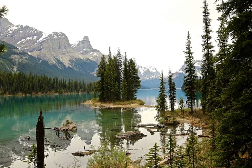 A leap into drastic change in environmental policy