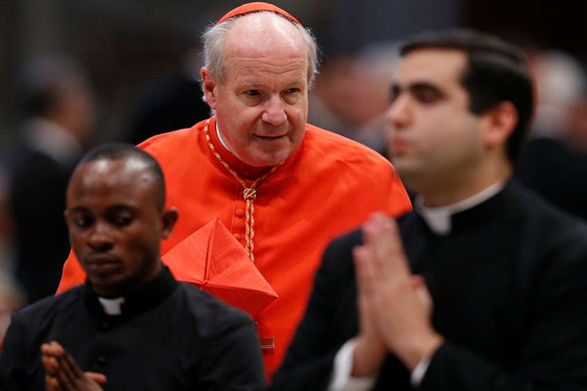 Criticisms come from those in the church who want to get rid of Pope Francis, Austrian cardinal says