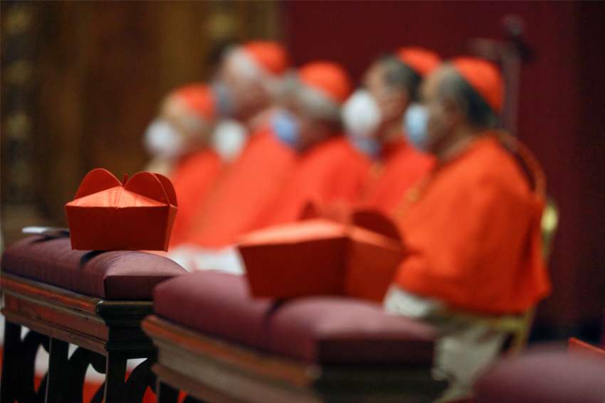 Pope Francis creates 13 new cardinals at consistory