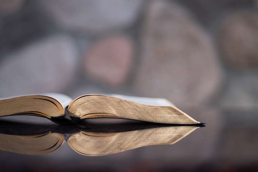 God's Word on Sunday: The divine will show when we’re ready