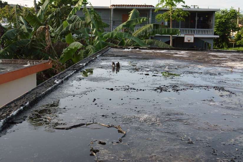 In Puerto Rico, mistrust fuels more public doubt than urgency on Zika