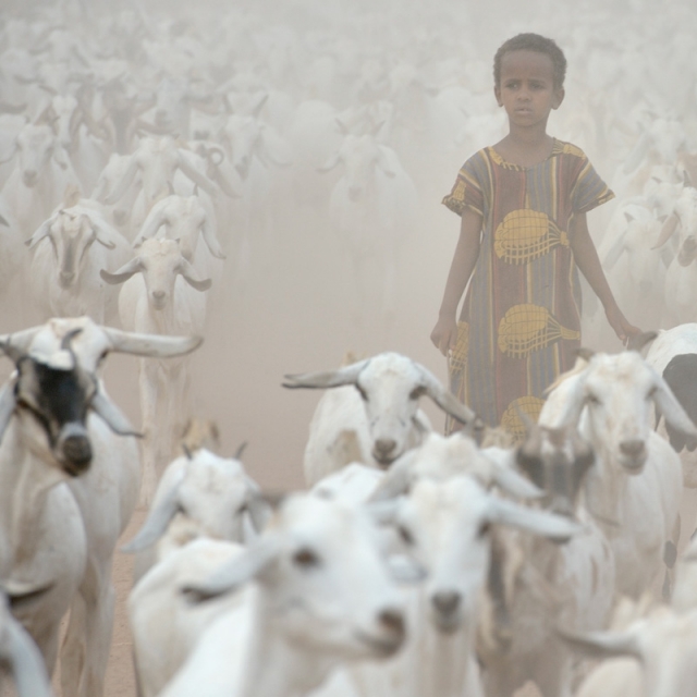 Catholic agencies part of aid campaign in Horn of Africa 