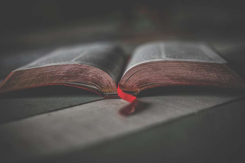 God's Word on Sunday: We need to go where the Spirit leads
