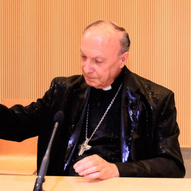 Belgian bishops criticize women's water attack on archbishop 