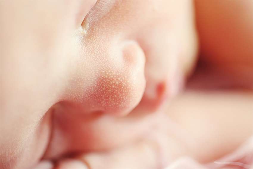 Record number of abortions recorded in England and Wales in 2020