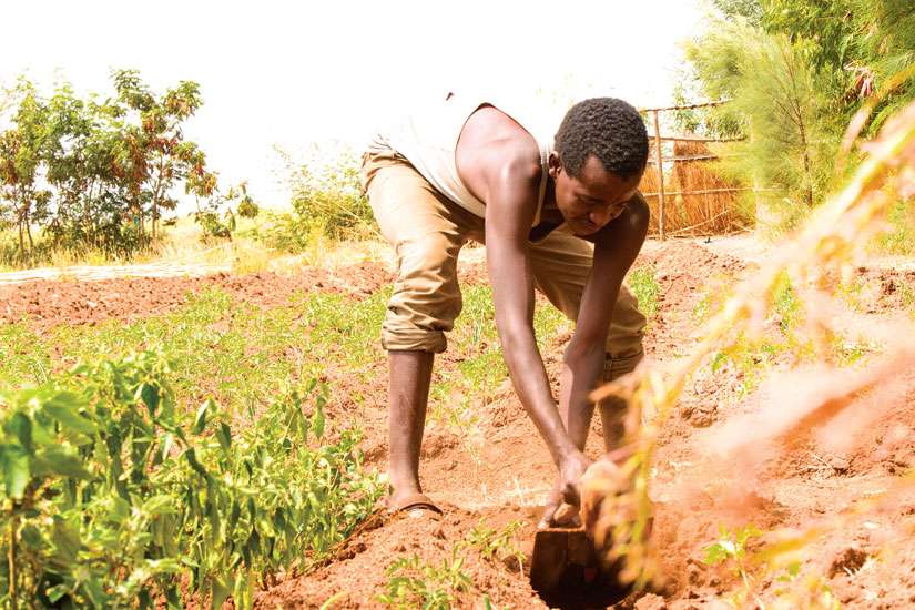 Nomadic African life dies of thirst