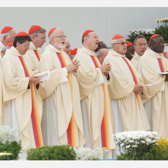 Pope seeks advice from top cardinals on credibility crisis 