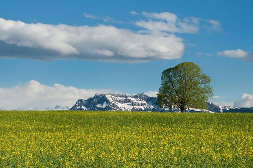 Comment: Something good can come from nothing