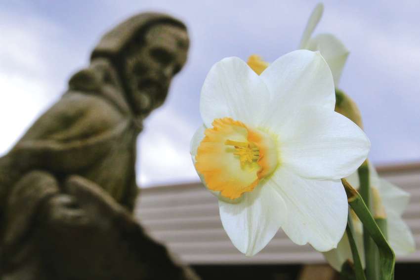 Leaving time for the miraculous to emerge