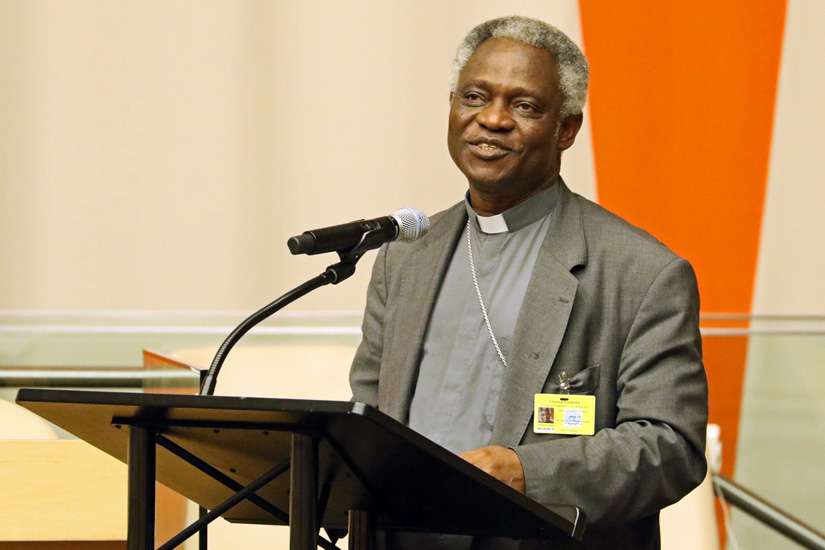 Turkson hopes Laudato Si' will have impact on Paris climate conference