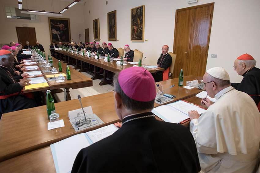 Pope joins meeting to prepare synod for the Amazon