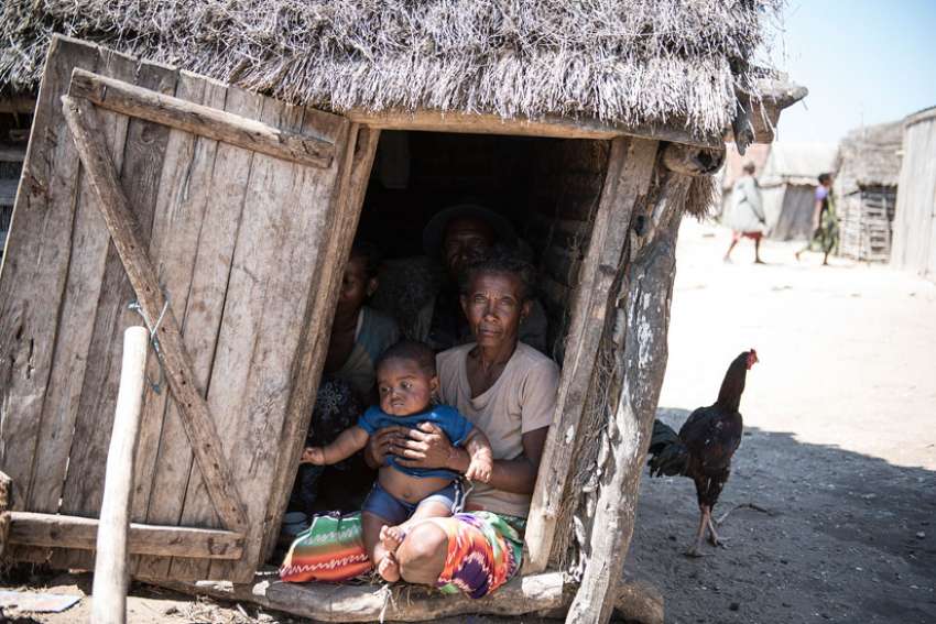 Madagascar drought causes extreme hunger, many left to eat cactus fruit