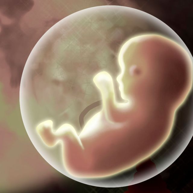Catholics skeptical of British review saying no mental health-abortion link 