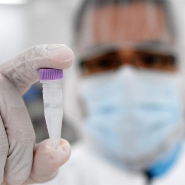 U.S. Supreme Court lets stand policy on embryonic stem-cell research funds 