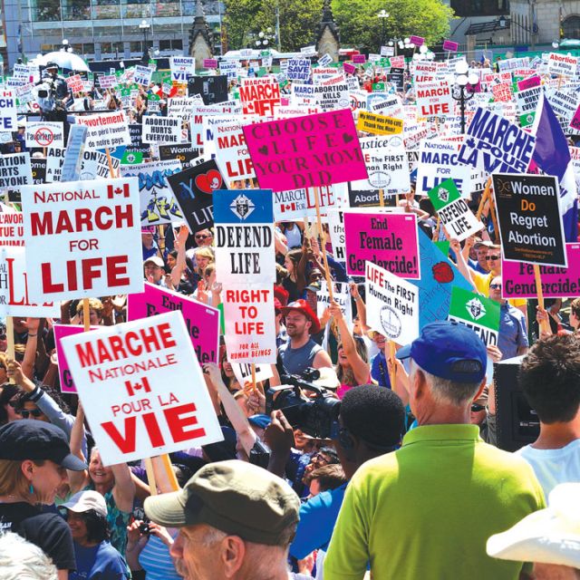 Campaigning for life for 35 years