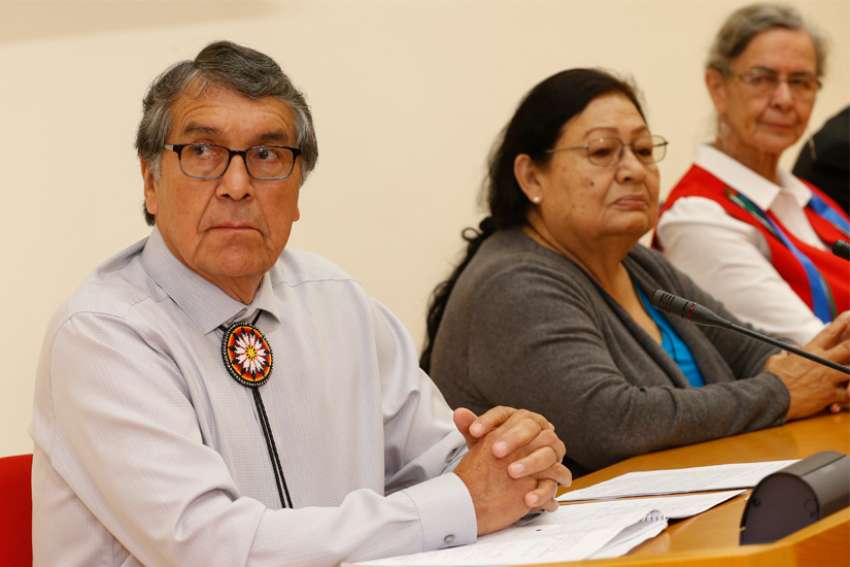 North American indigenous support Amazonian indigenous at synod