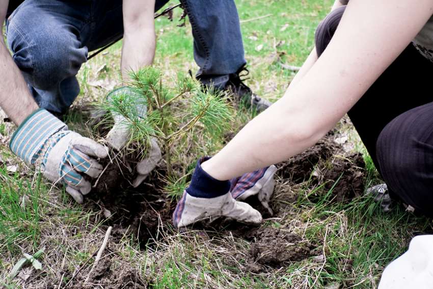 Glen Argan: Pursuit of the common good is the best path
