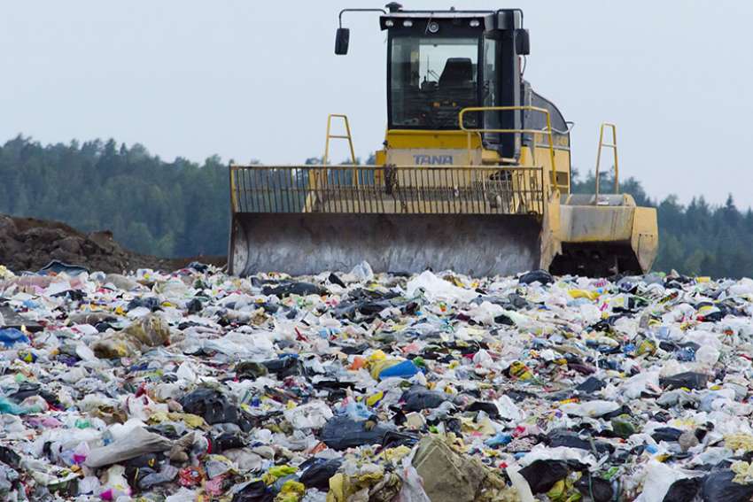 Papal academies: Bigger threat to planet is greed, not population growth