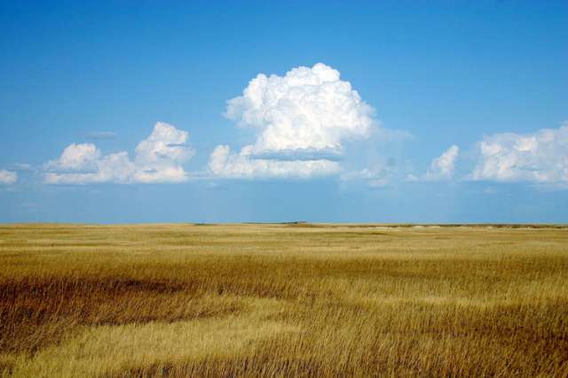 Our timidity in the face of God’s abundance