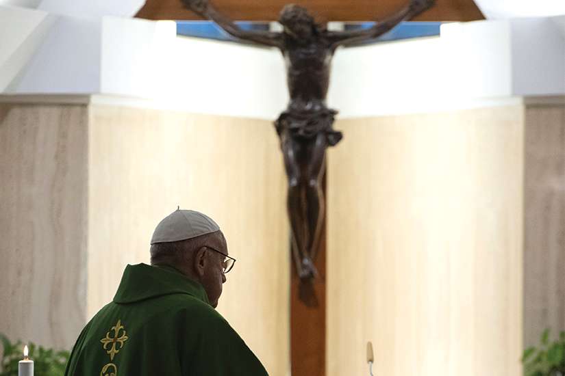 Be 'artisans of peace' in your daily life this Advent, Pope Francis says