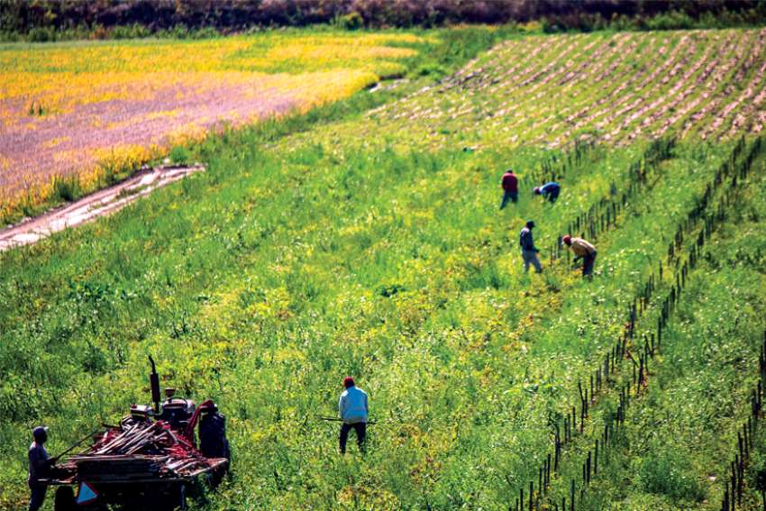 Post-COVID, migrant worker issues remain