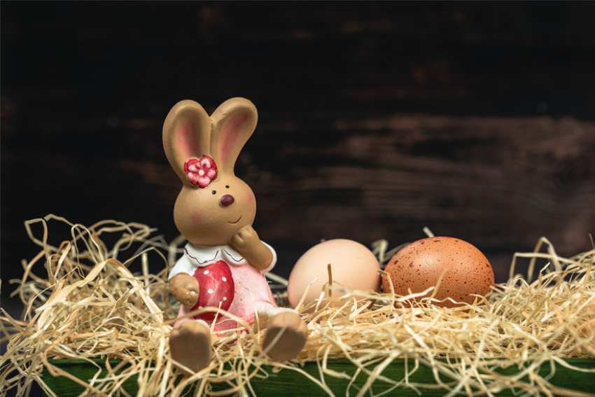 Beyond bunnies, chocolate eggs