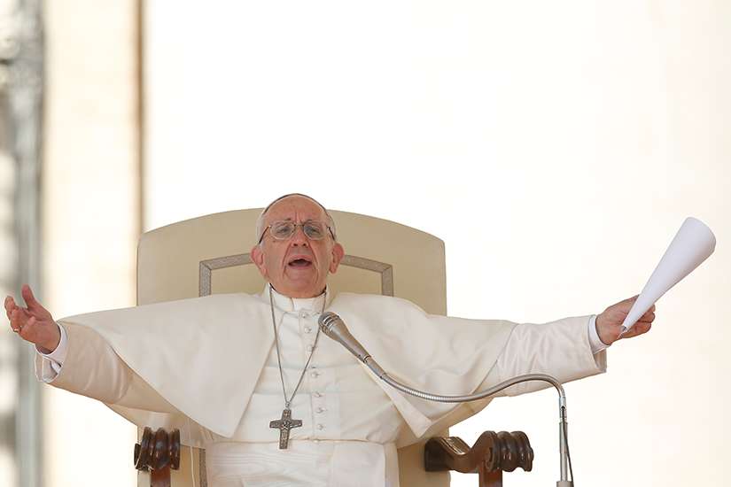 Pope's homily: Rediscover your roots