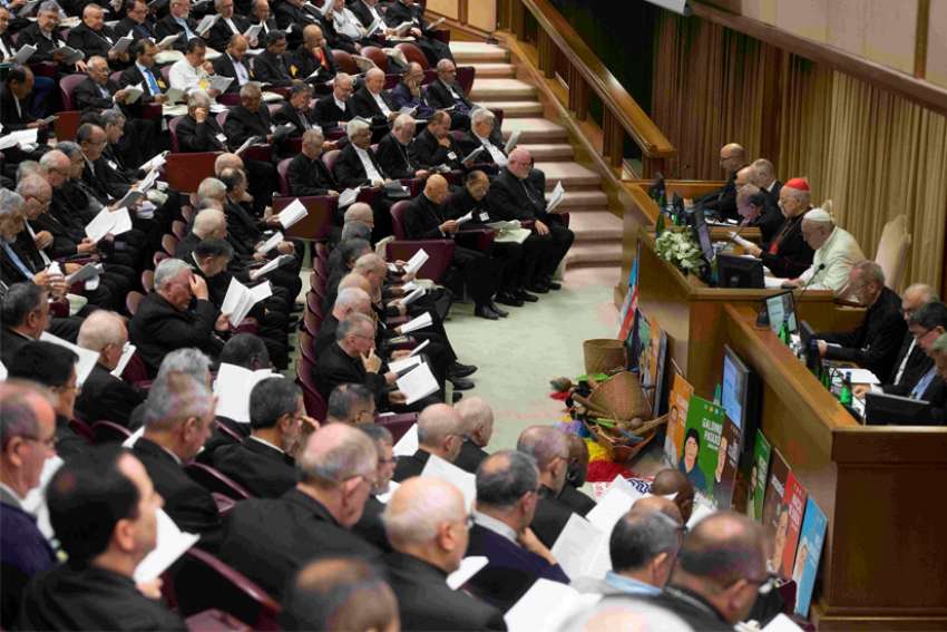 Synod participants: Catholics must recognize 'ecological sins'