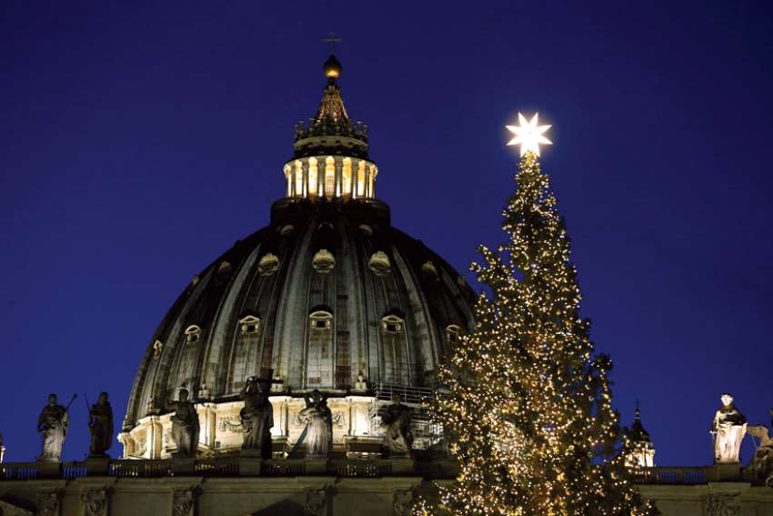 Network dreaming of green Christmas