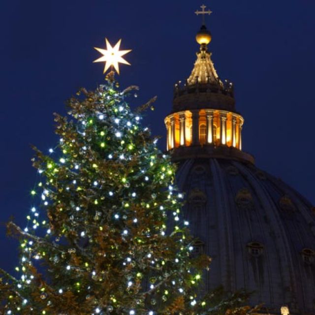 Christmas trees remind believers of light of Christ, Pope says 