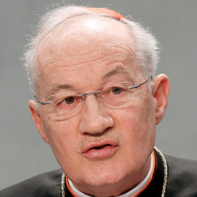 Cardinal says bishops were encouraged by youths at WYD
