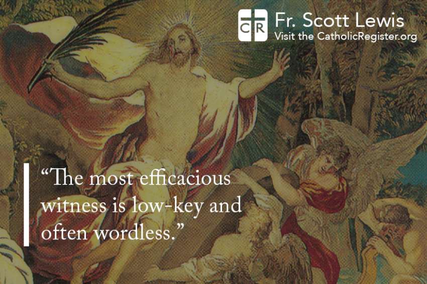 God's word on Sunday: The yeast of Christ will lead us to the truth