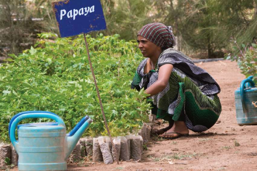 Peasant, small-scale farmers key to fighting world hunger