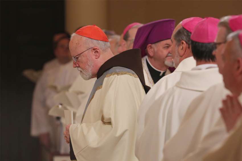 Church must make urgent, clear response to abuse crisis, Cardinal O'Malley says